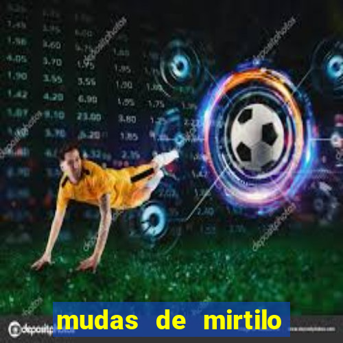 mudas de mirtilo em porto alegre